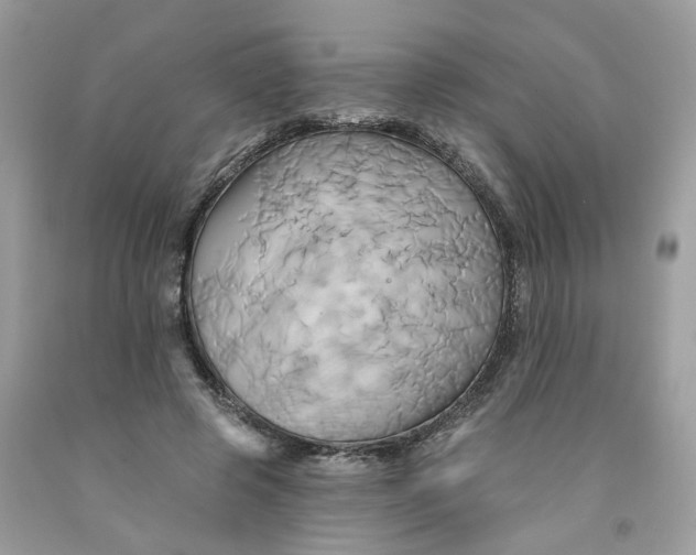 X0000091590545200709101042