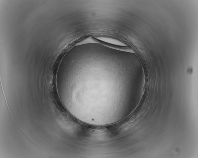 X0000091590548200709101042