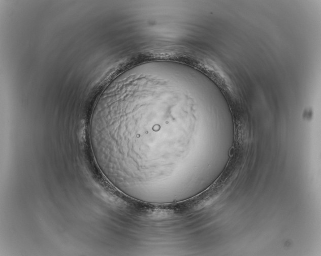 X0000091590549200709101042