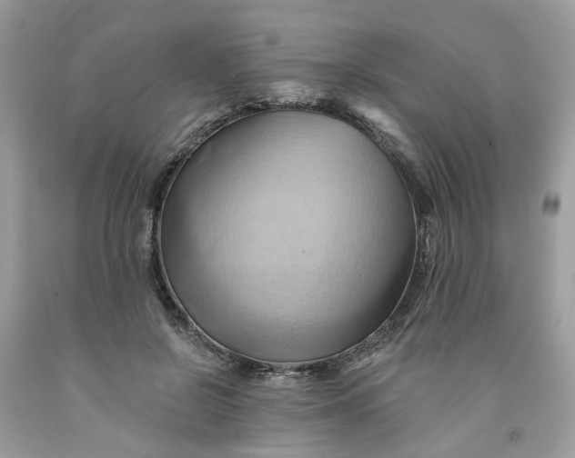 X0000091590550200709101042