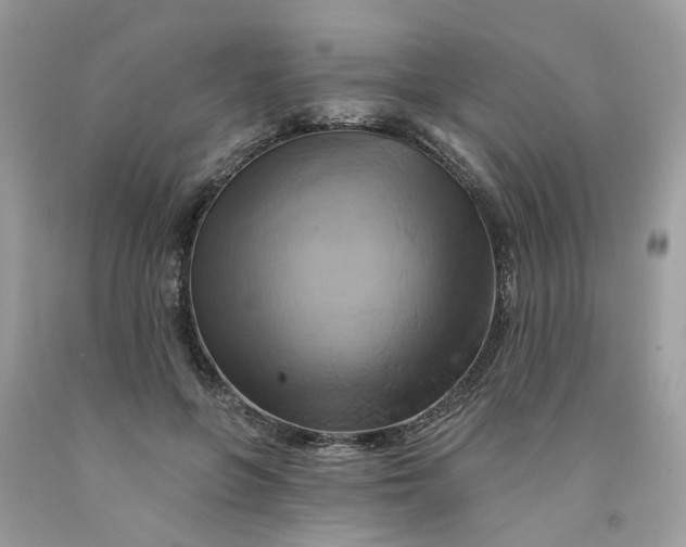 X0000091590551200709101042