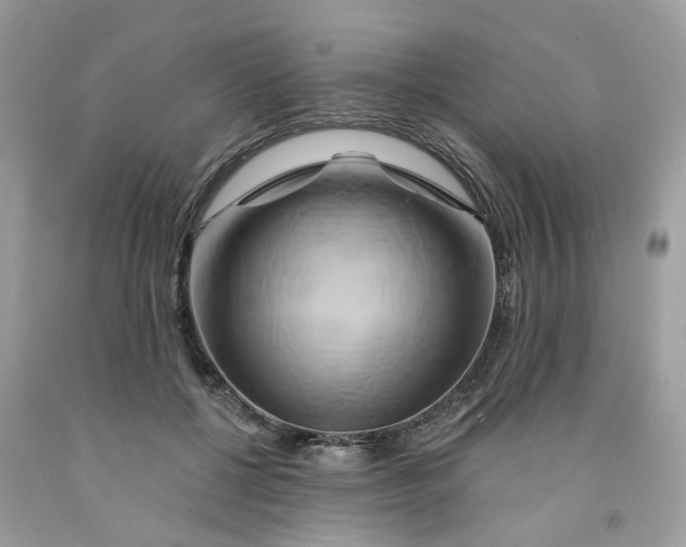 X0000091590552200709101042