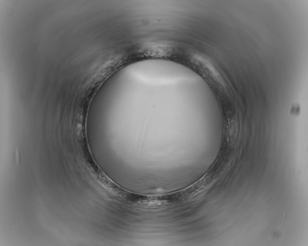 X0000091590553200709101042