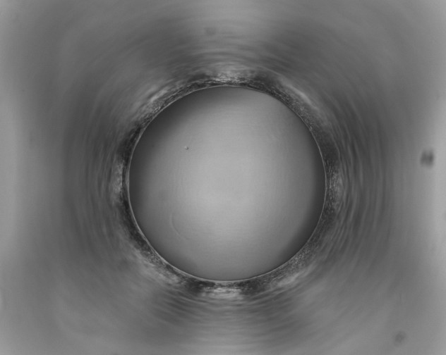 X0000091590554200709101042