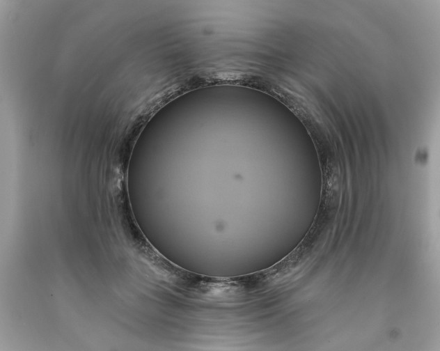 X0000091590555200709101042