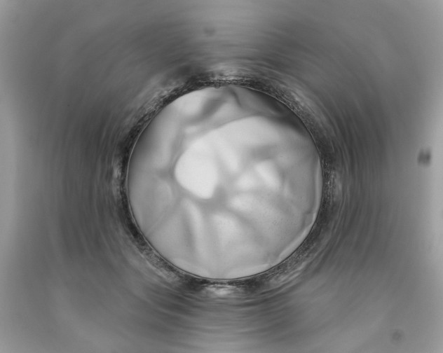 X0000091590557200709101042