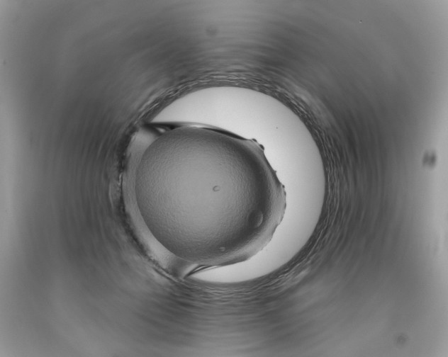 X0000091590558200709101042