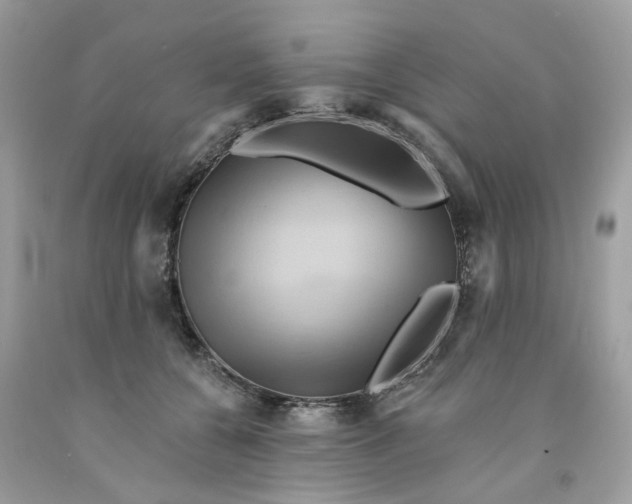 X0000091590560200709101042