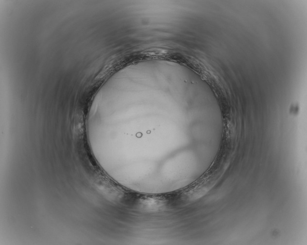 X0000091590561200709101042