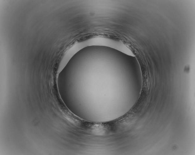 X0000091590562200709101042