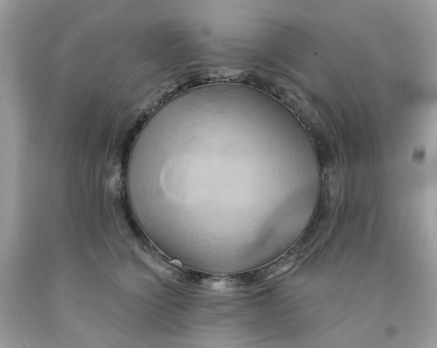 X0000091590564200709101042