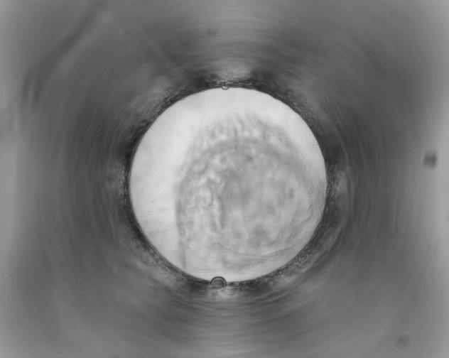 X0000091590565200709101042