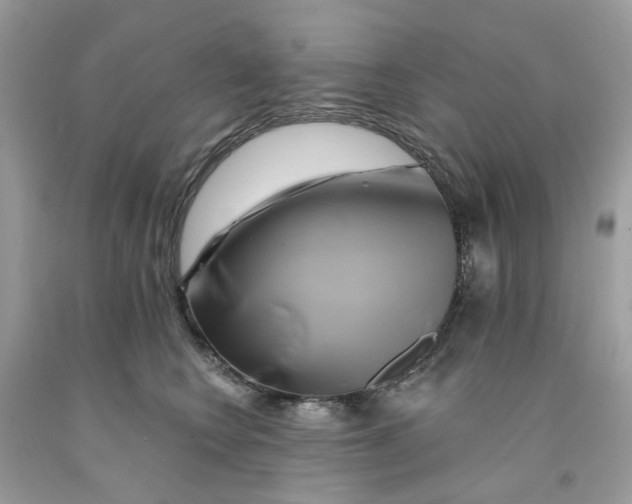 X0000091590566200709101042