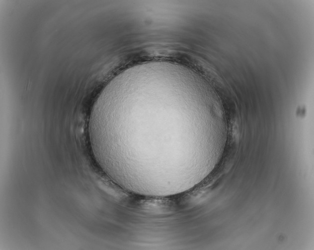 X0000091590567200709101043