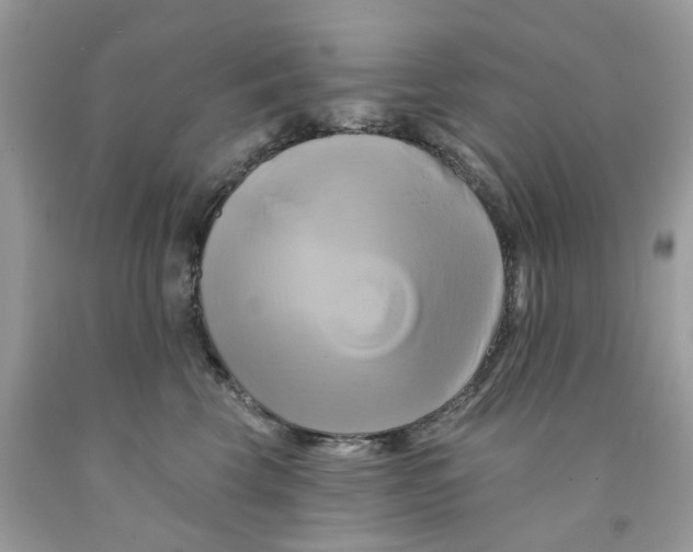 X0000091590569200709101043