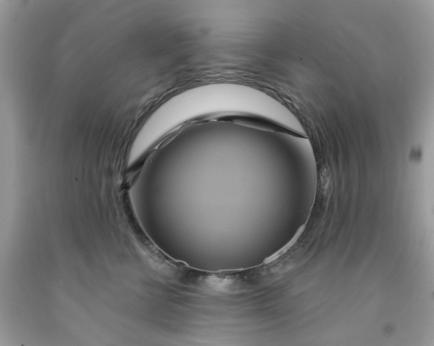 X0000091590570200709101043