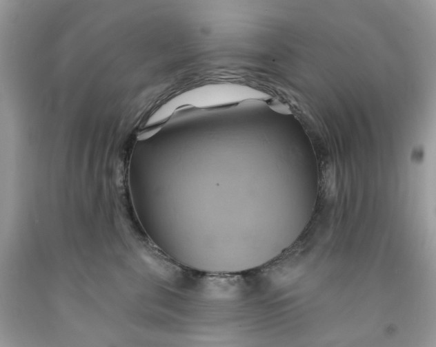 X0000091590571200709101043