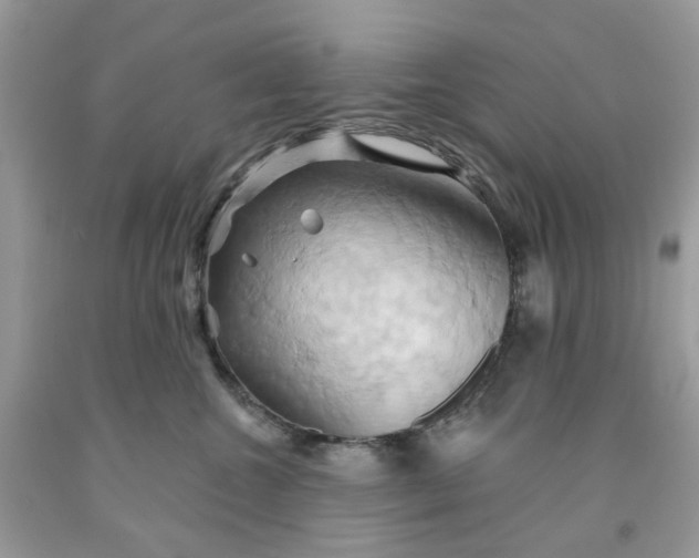 X0000091590572200709101043