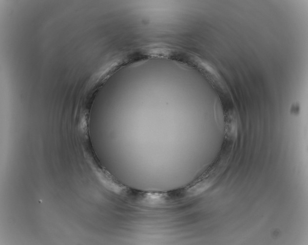 X0000091590573200709101043