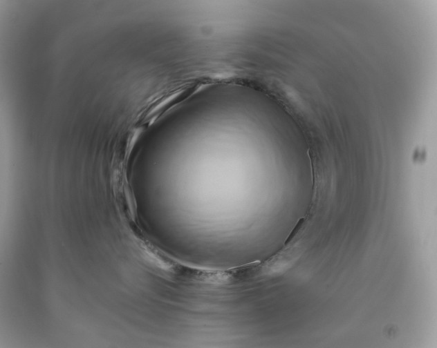 X0000091590576200709101043