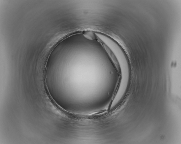 X0000091590577200709101042