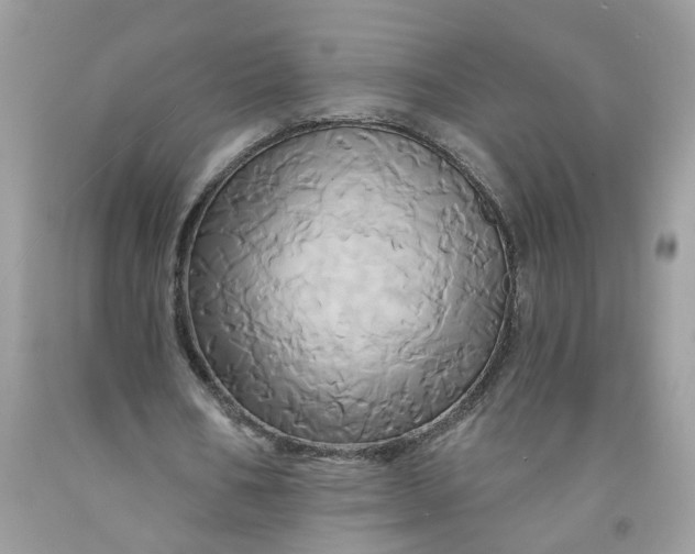 X0000091590578200709101042