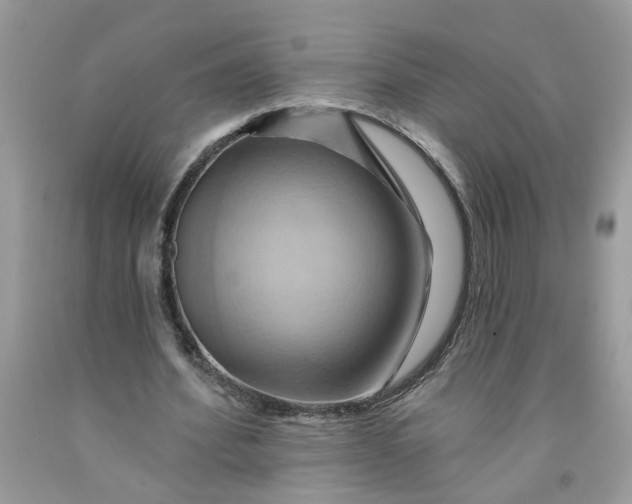 X0000091590580200709101042