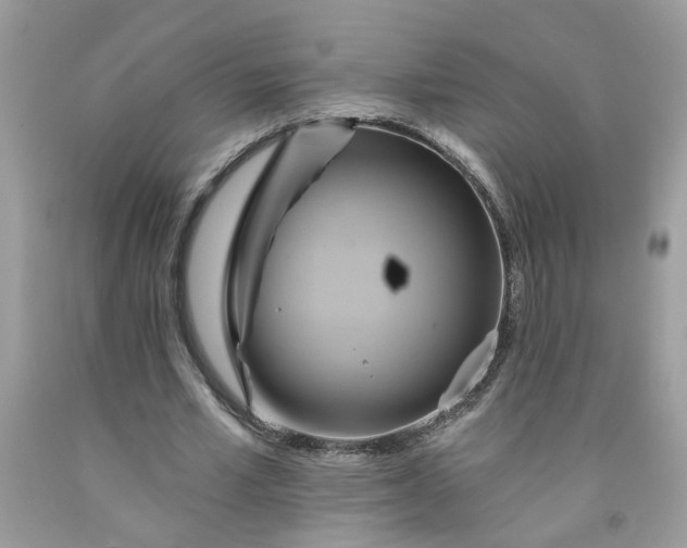 X0000091590581200709101042