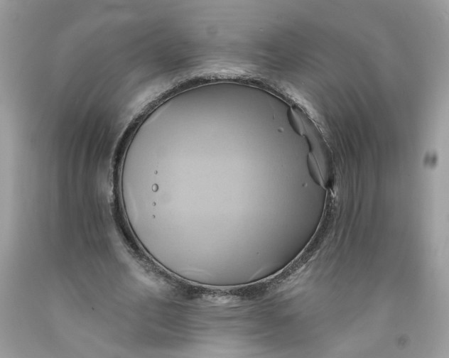 X0000091590582200709101042