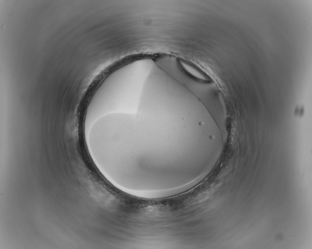 X0000091590584200709101042