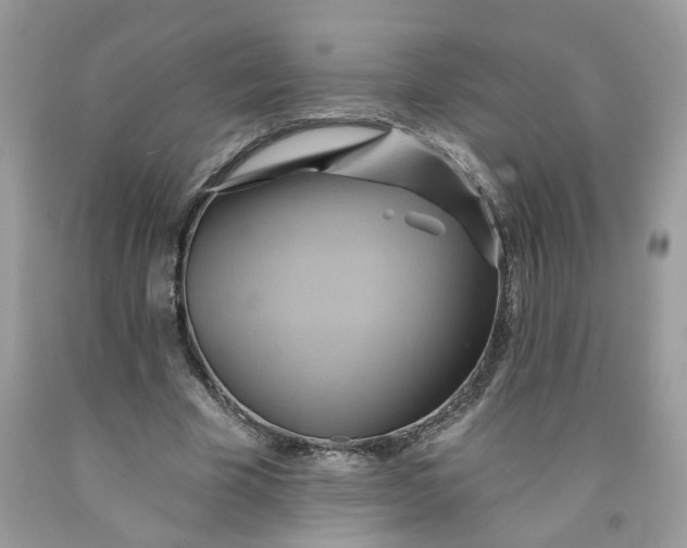 X0000091590585200709101042