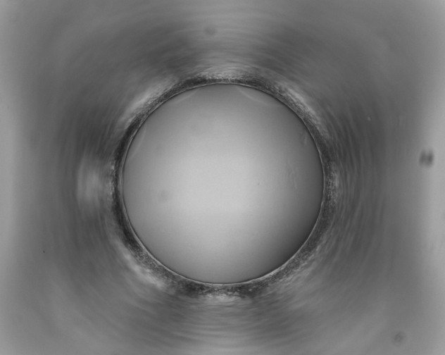 X0000091590586200709101042