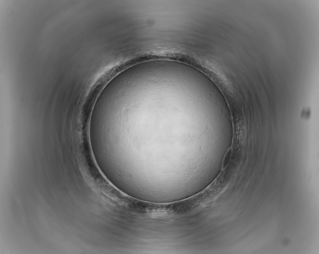 X0000091590587200709101042