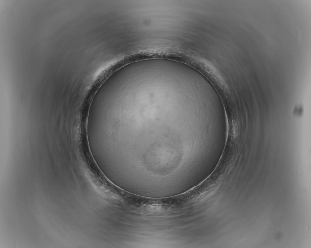 X0000091590588200709101042