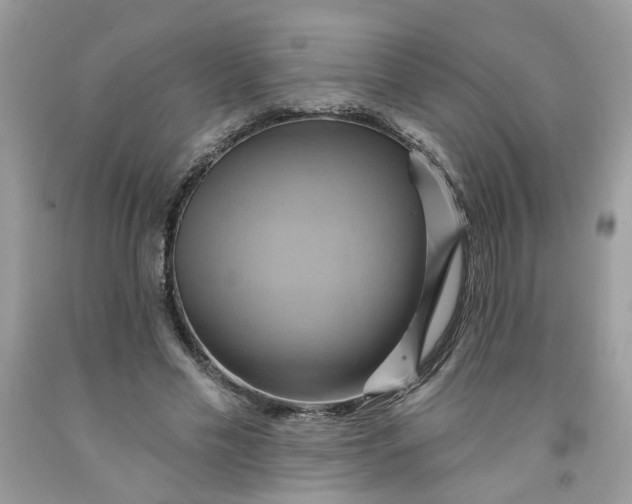 X0000091590589200709101042