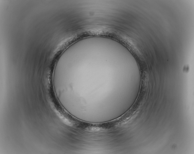 X0000091590590200709101042