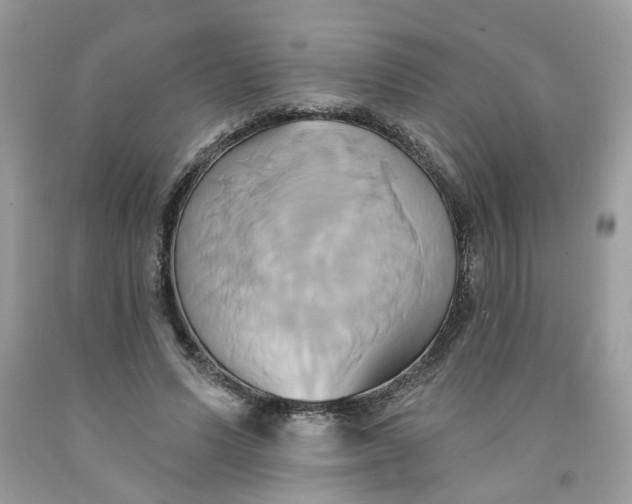 X0000091590591200709101042