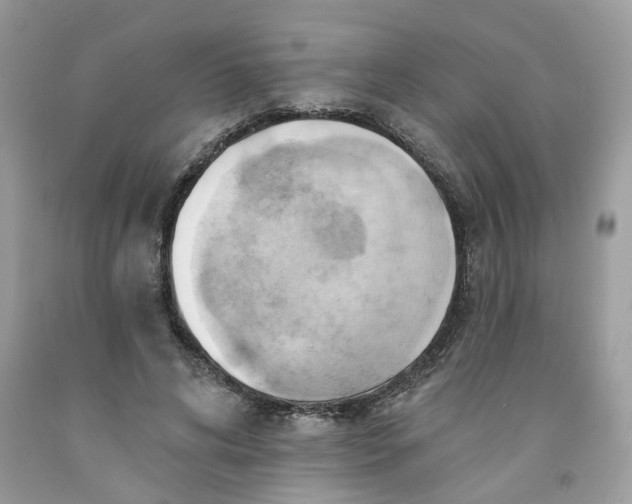 X0000091590592200709101042