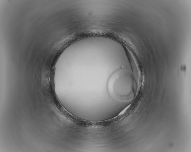 X0000091590593200709101042