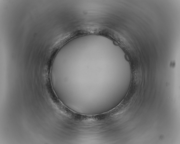 X0000091590594200709101042