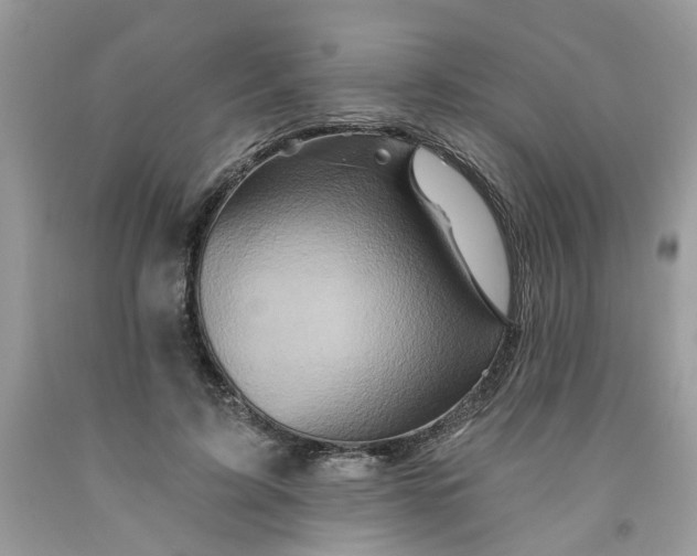 X0000091590595200709101042