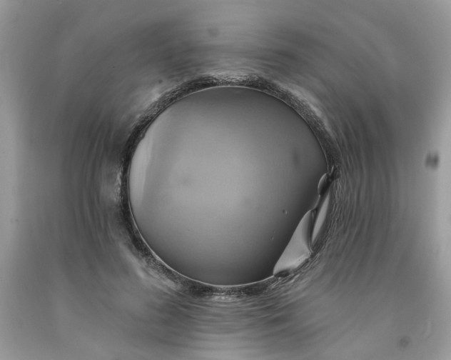 X0000091590596200709101042