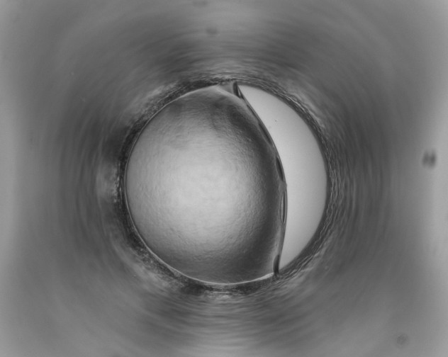 X0000091590597200709101042