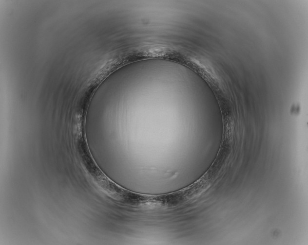 X0000091590598200709101042