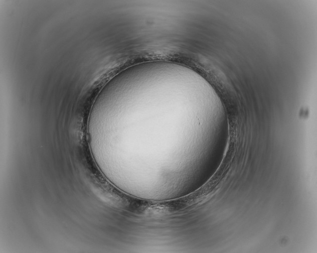 X0000091590599200709101042