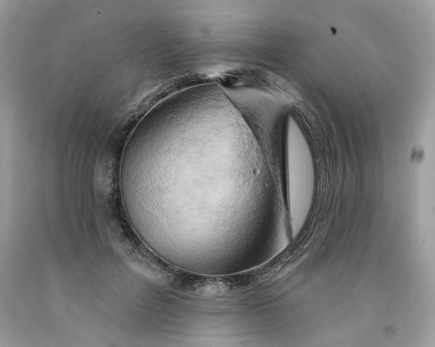 X0000091590600200709101042