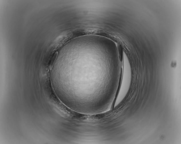 X0000091590601200709101042