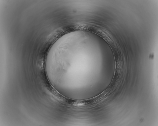 X0000091590602200709101042