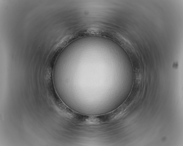 X0000091590603200709101042