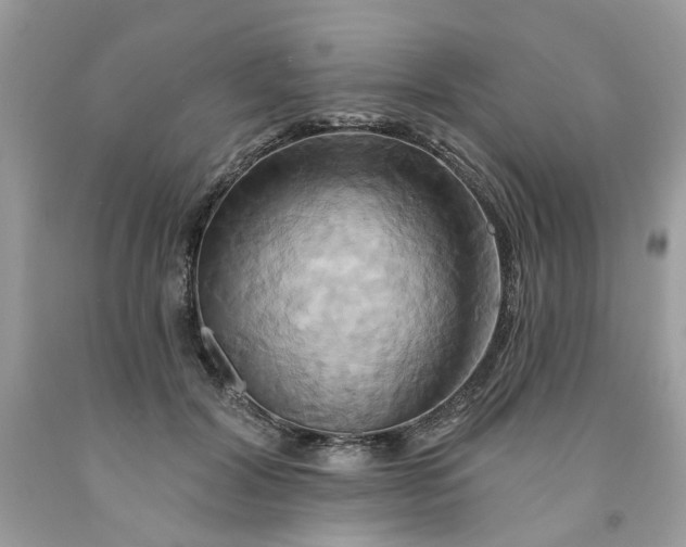 X0000091590604200709101042